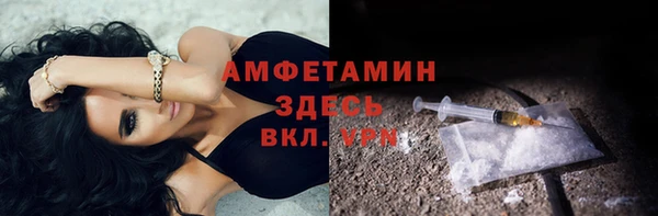 прущие грибы Богородск