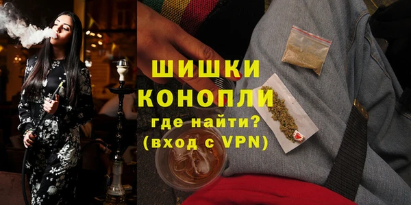 прущие грибы Богородск