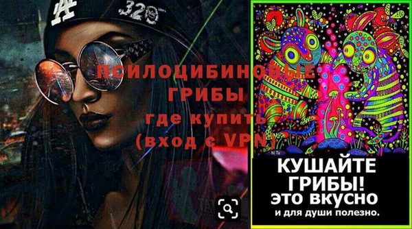 кокаин колумбия Богданович
