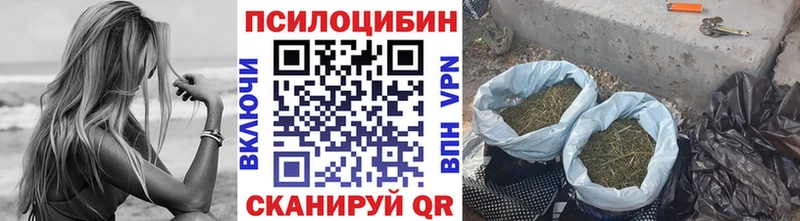 Галлюциногенные грибы Psilocybine cubensis  где купить наркоту  ОМГ ОМГ маркетплейс  Кодинск 