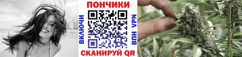 MEGA как зайти  как найти наркотики  Кодинск  МАРИХУАНА MAZAR 